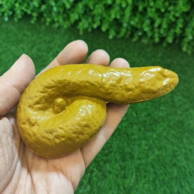 شوخی اسمشو نبر پی پی مصنوعی